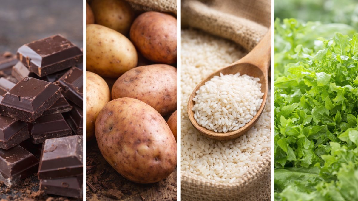 Les 10 aliments les plus contaminés au Cadmium : liste et alternatives