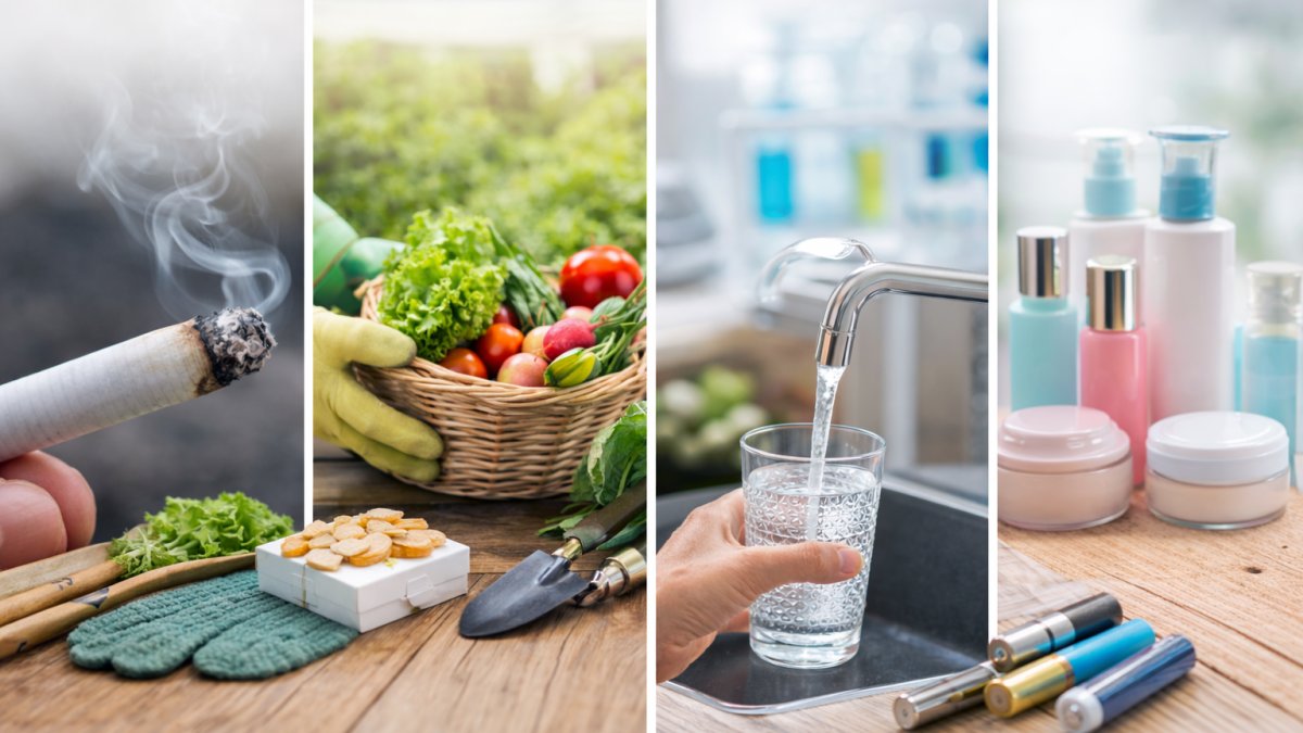 Cadmium au quotidien : êtes-vous exposé sans le savoir ?